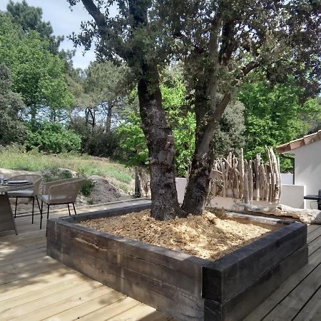 Villa Bois Flottes Le Verdon-sur-Mer Eksteriør billede